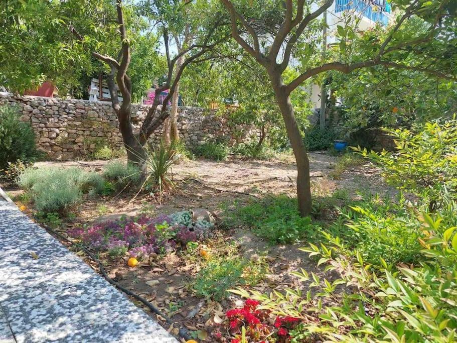 Mel'S Garden House In The Heart Of The City Bodrum Exterior photo