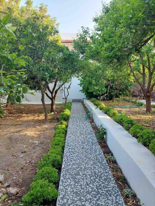 Mel'S Garden House In The Heart Of The City Bodrum Exterior photo